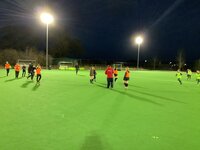 Water-Based Artificial Pitch 1/2 1