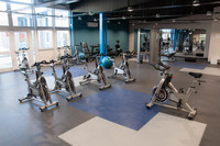 Fitness Suite