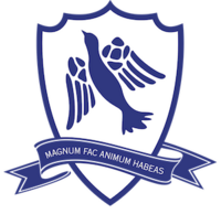 Baseball Diamond (Match Day)