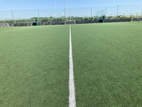 All 3 Astro Pitches (Off Peak Week end Rate)