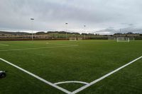 Jim Leighton Pitch (Full)