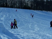 Memorial Park - Sledding Hill