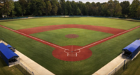 Field 1
