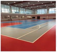 Badminton Court 6