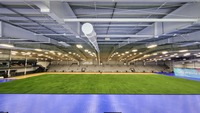 Turf