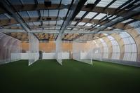 Hodge Cricket Lane 2