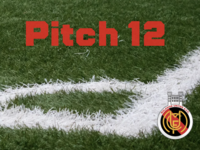 PITCH 12 MALAHIDE CASTLE