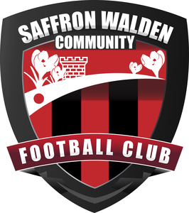 Saffron Walden County High School - 3G AGP