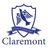 Junior Cricket Pitch