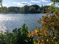 Opechee Park - Cove Picnic Area