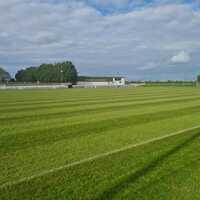 Grass Pitch