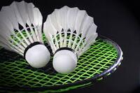 Badminton - 3 or 4 Courts
