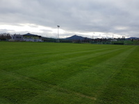 Pitch 1  (Book Full Pitch)