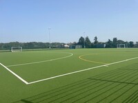 Astro Turf Half A (NOT 3G)