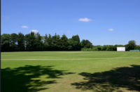 Cricket Pitch - Tollers Field (Senior School)
