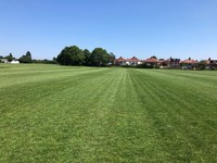 Grass Pitch 2 - Match Rate 1.5 hours (9v9)