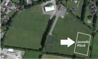 Juvenile Pitch (Grass)