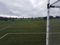 3G  (Book Full Pitch)