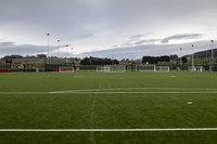 Jim Leighton Pitch Half (W)