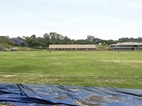 Dlamini Field