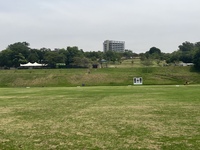 Jamieson 3 - Football Pitch