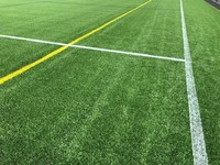 3G Pitch 2