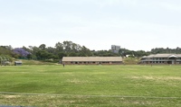 Dlamini Oval