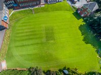Cricket Pitch