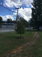 Wyatt Park - Walking Path