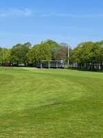 Cricket Square - Grass