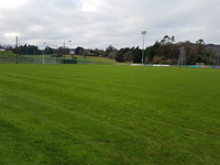 Pitch 1  (1/2 Pitch)