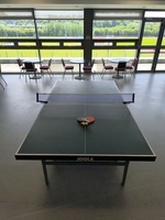 Table Tennis