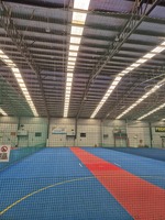 (Gekko) Court 4 Cricket and Netball