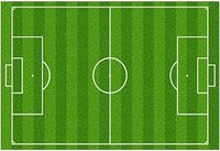 5V5 GRASS