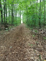 Weirs Community Park - Trails