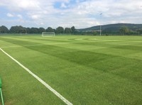 Grass Pitch 7v7 (2)