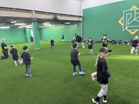 Turf Area/Pitching Area