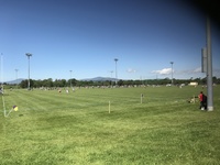 Main Club Grass Pitch