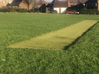 Cricket Pitch